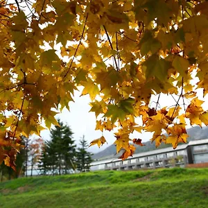 furano-hotel.hokkaidohotelsjapan.com/